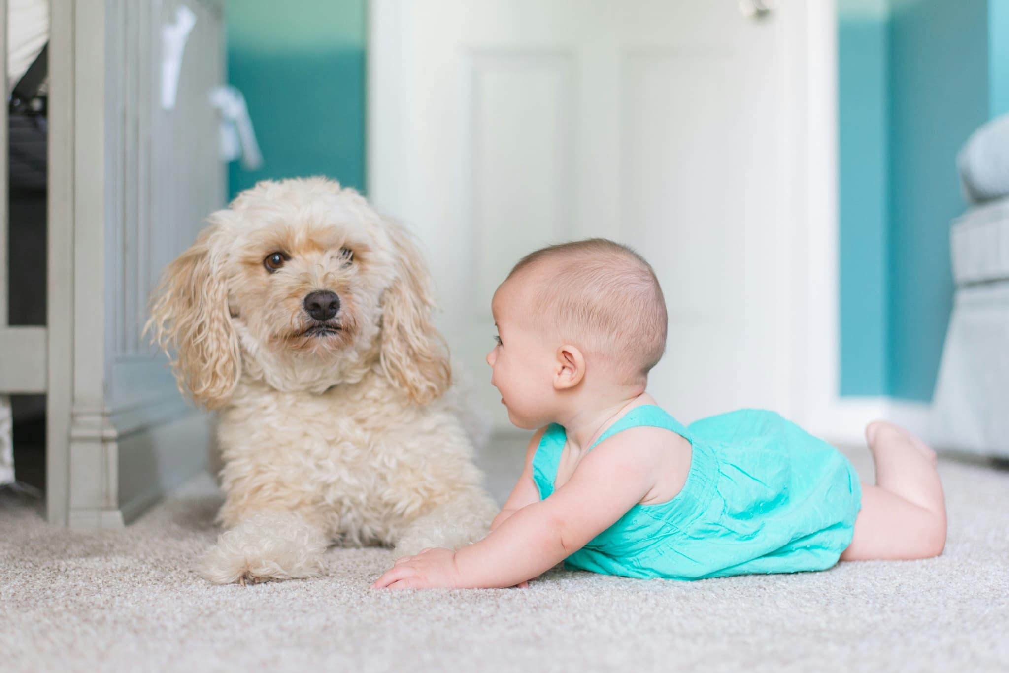 Baby with siblings